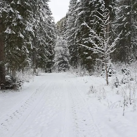 Ammerwald Alm פלאנסי