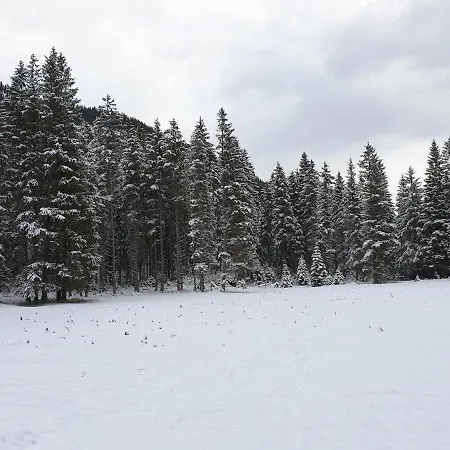 Ammerwald Alm * 플란제
