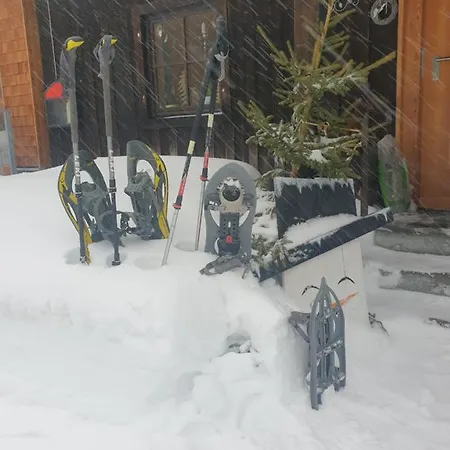 Ammerwald Alm Inn *