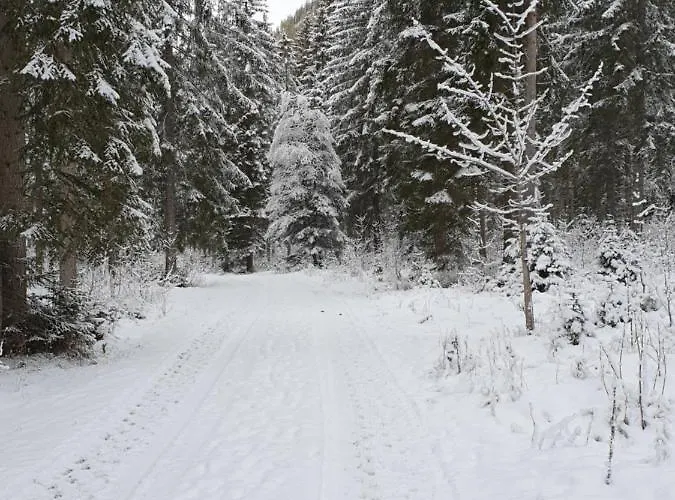 Ammerwald Alm Plansee