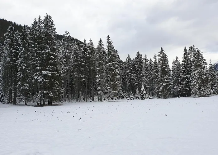 Ammerwald Alm * Plansee