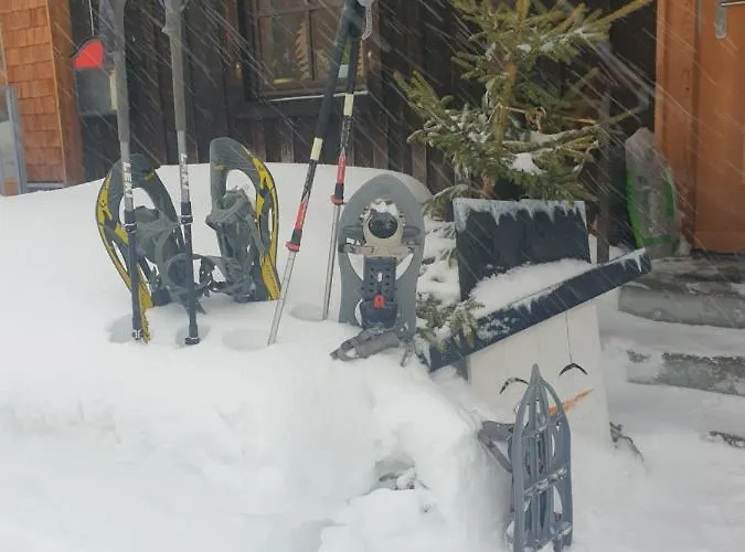 Ammerwald Alm Penzion *