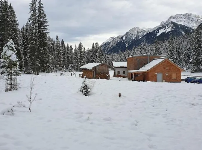 Herberg Ammerwald Alm